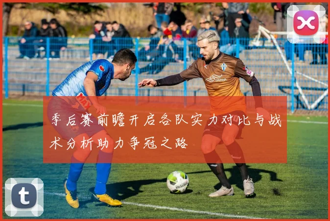 季后赛前瞻开启各队实力对比与战术分析助力争冠之路